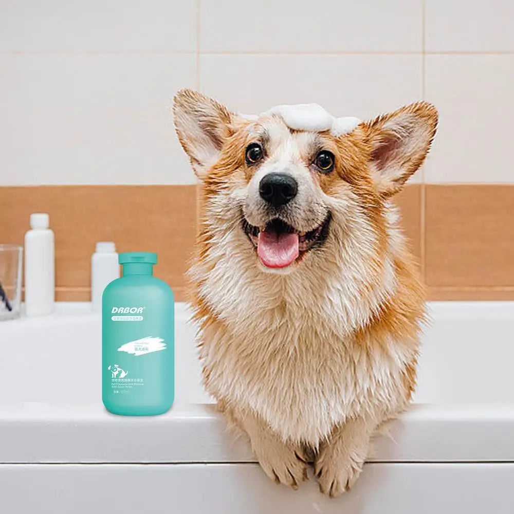 Pet Shampoo for Dogs Pet Bath Wash 500ml Fragrance Body Wash Dense Foaming Liquid Shampoo Moisturizing for Most Skin Types